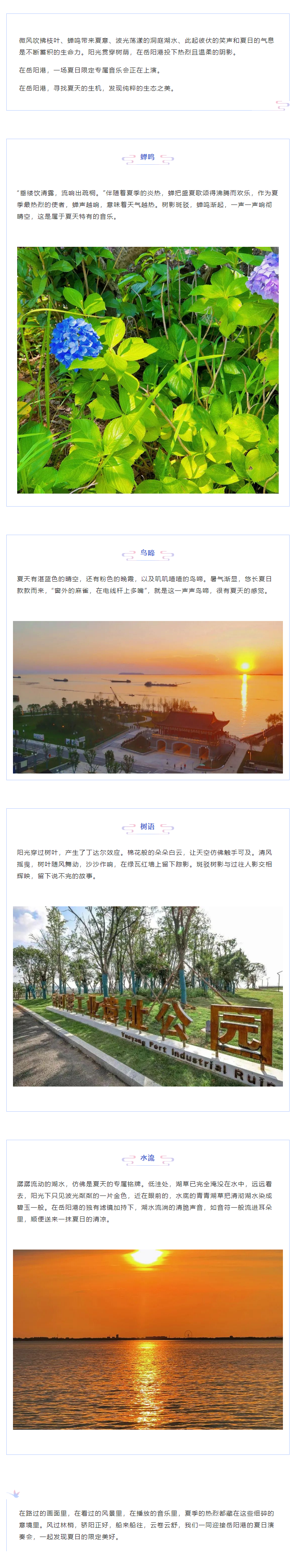 【夏日演奏會(huì)】在岳陽(yáng)港，聆聽(tīng)夏天的聲音.png